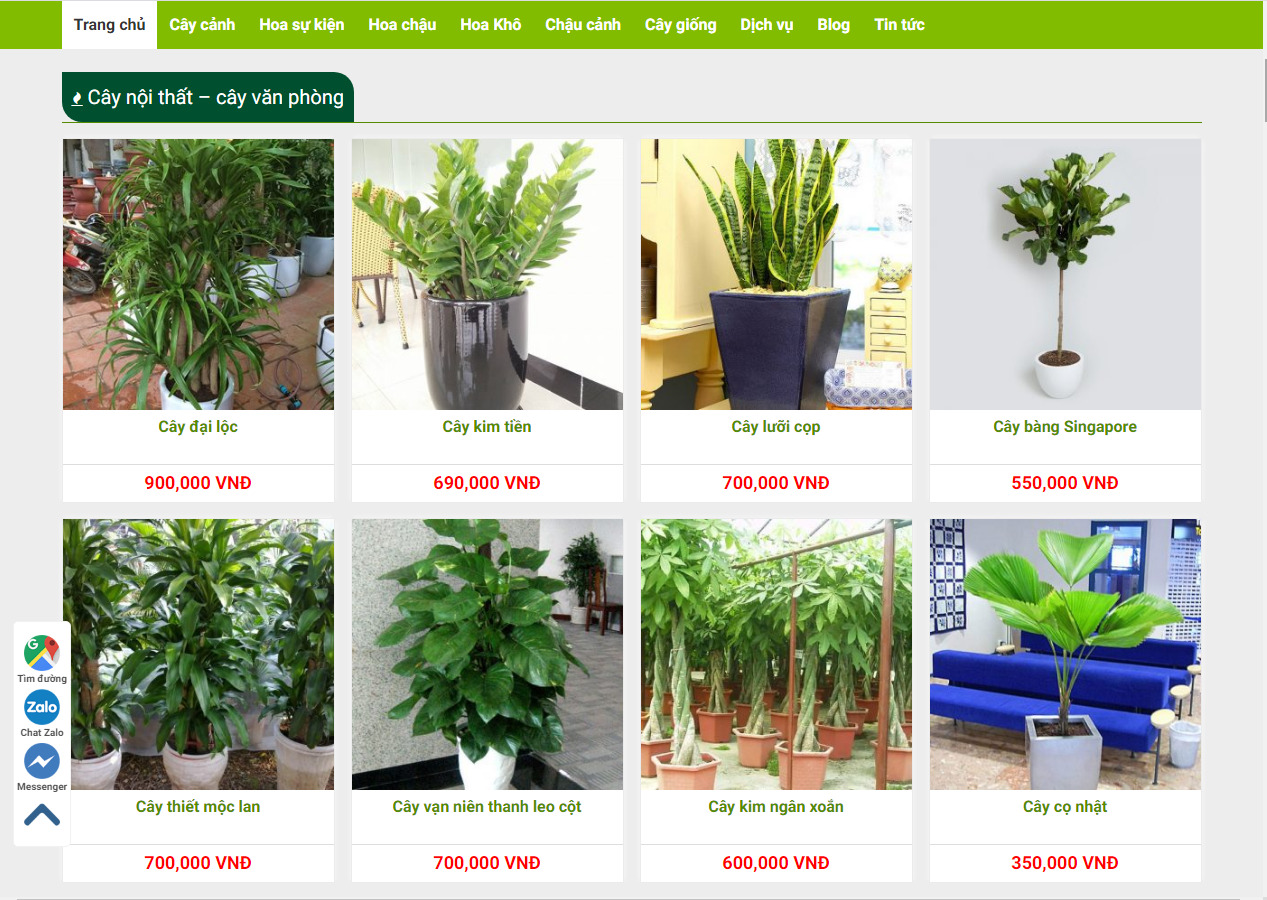 Thiết kế website bán cây cảnh, cây phong thủy, để bàn ấn tượng