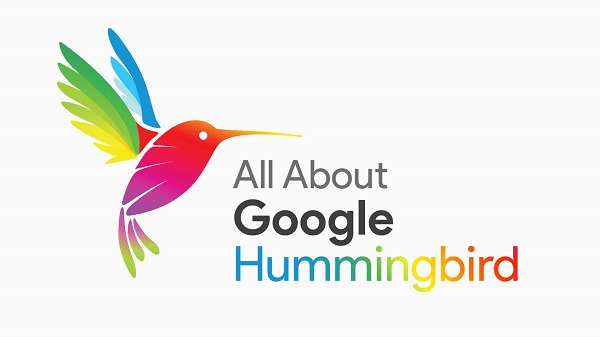 Hummingbird là gì