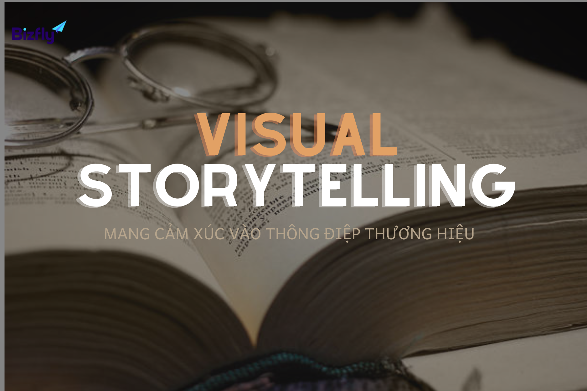 Visual Storytelling 