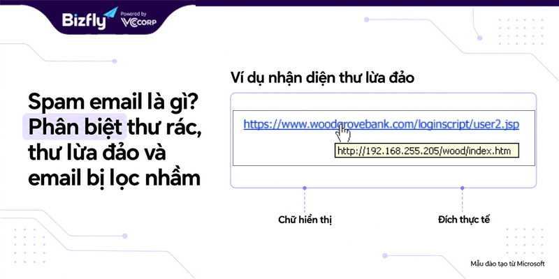 Mẫu đào tạo Microsoft cho thấy liên kết hiển thị khác địa chỉ IP đích khi rê chuột.