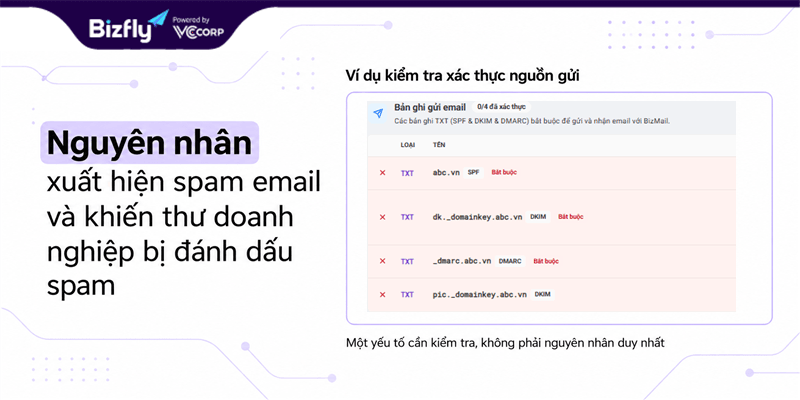 Vùng bản ghi gửi email có nhãn SPF, DKIM và DMARC trong màn hình cấu hình DNS của BizMail.
