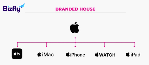 Ví dụ về mô hình kiến trúc thương hiệu của Apple 