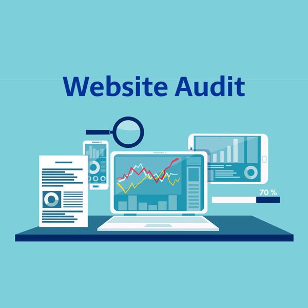 Audit website 