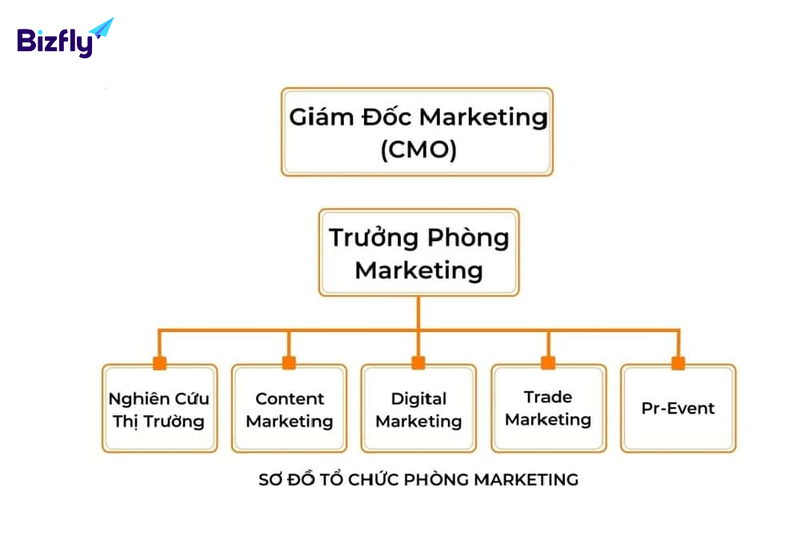 Sơ đồ phòng marketing