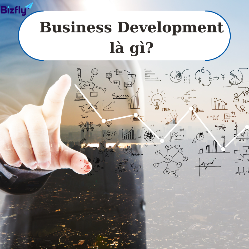 Business Development là gì