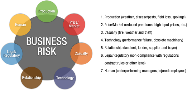 Các yếu tố gây ra rủi ro trong kinh doanh