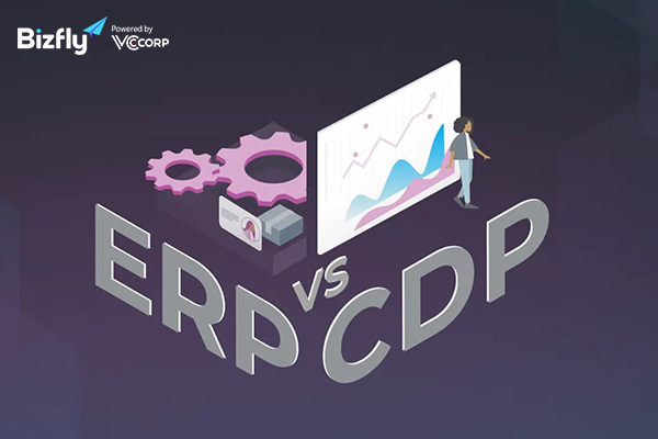 So sánh CDP vs ERP