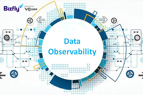 Data observability