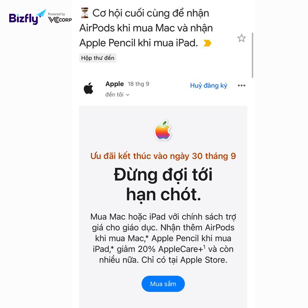 Email bán hàng