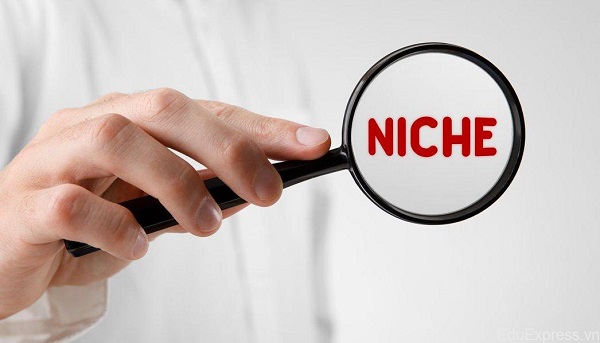 Vì sao nên sử dụng Niche site để kiếm tiền