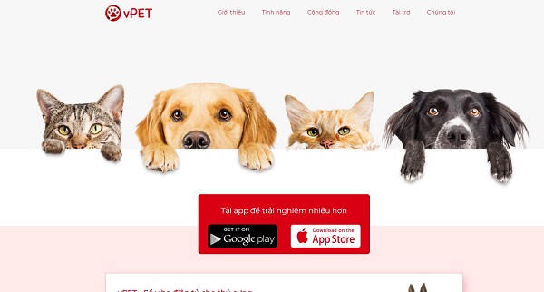 mẫu thiết kế website thú cưng, chăm sóc thú cưng