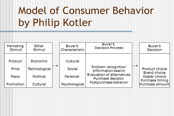 Mô hình hành vi người tiêu dùng của Philip Kotler 