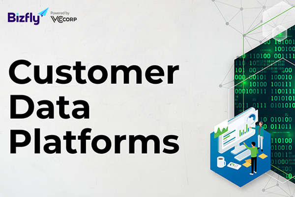 Nhờ Customer Data Platform, doanh nghiệp dễ dàng thực hiện các điều chỉnh đối với hồ sơ khách hàng