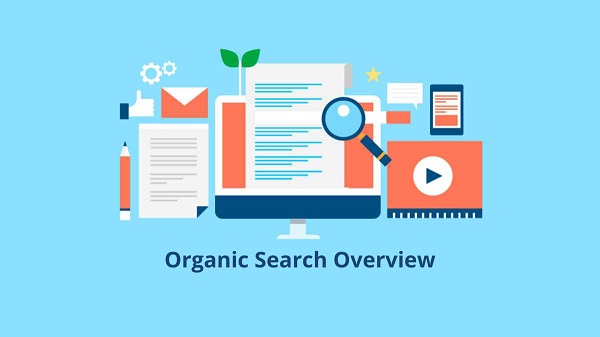 Tìm kiếm tự nhiên (Organic Search) là hình thức hiển thị Serp của Google