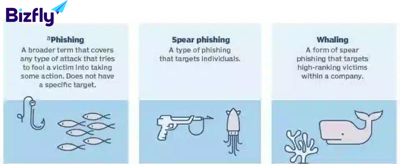 Phân biệt phishing, spear phishing, whaling