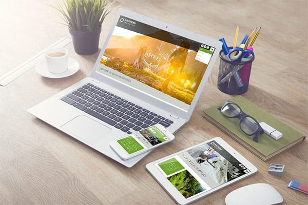 thiết kế website tại Ph&uacute; Thọ