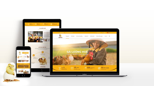 Thiết kế web Phan Rang mang đến các dịch vụ về web chuyên nghiệp, uy tín