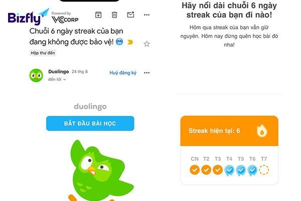 Ví dụ email marketing