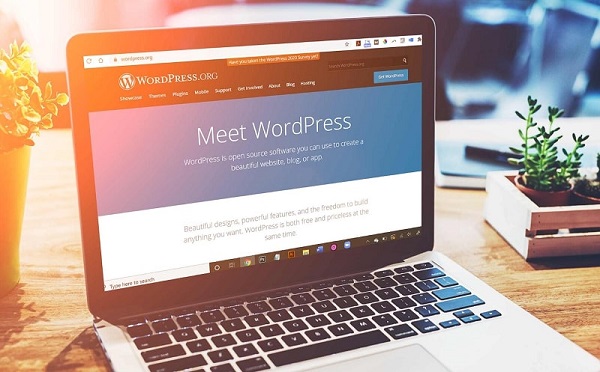 Website wordpress là một nền tảng dễ dàng sử dụng