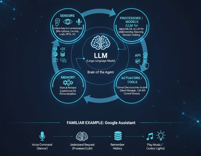 AI Agent là hệ thống tiếp cận dữ liệu, phân tích, đưa ra quyết định và hành động