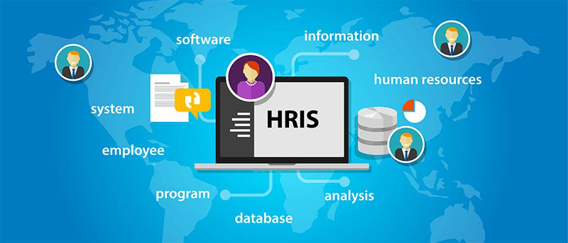 Hệ thống thông tin nguồn nhân lực HRIS là giải pháp quản lý nhân sự hoàn hảo dành cho doanh nghiệp
