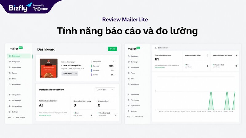 Dashboard báo cáo và đo lường hiệu quả chiến dịch Email Marketing trên MailerLite.