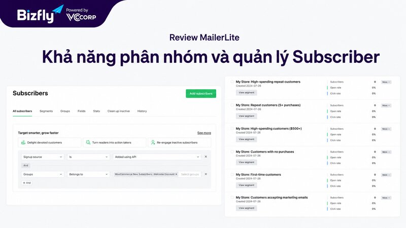 Giao diện phân nhóm và quản lý Subscriber trong phần mềm MailerLite.