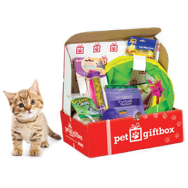 Subscription Box cho thú cưng giúp khách hàng thuận tiện hơn trong quá trình chăm sóc vật nuôi