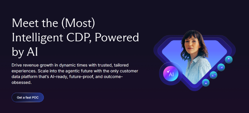 Treasure Data - nhà cung cấp CDP tích hợp AI thông minh